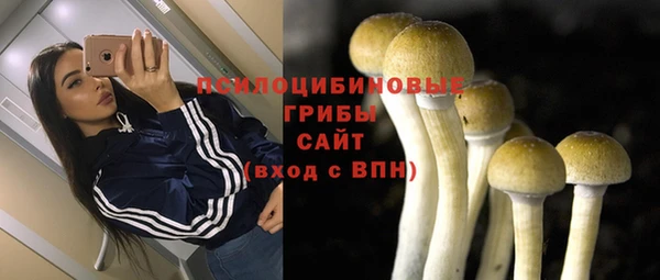 соль курить ск Алексин