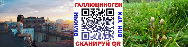 Галлюциногенные грибы мицелий  купить закладку  Апатиты 