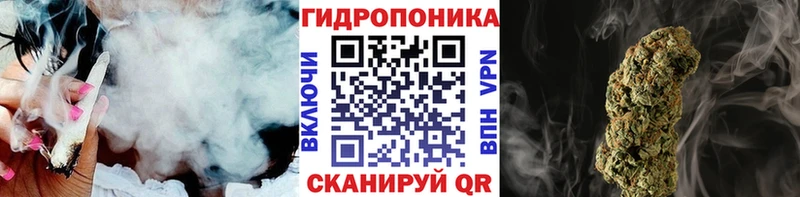 Канабис VHQ  купить наркоту  omg зеркало  Апатиты 